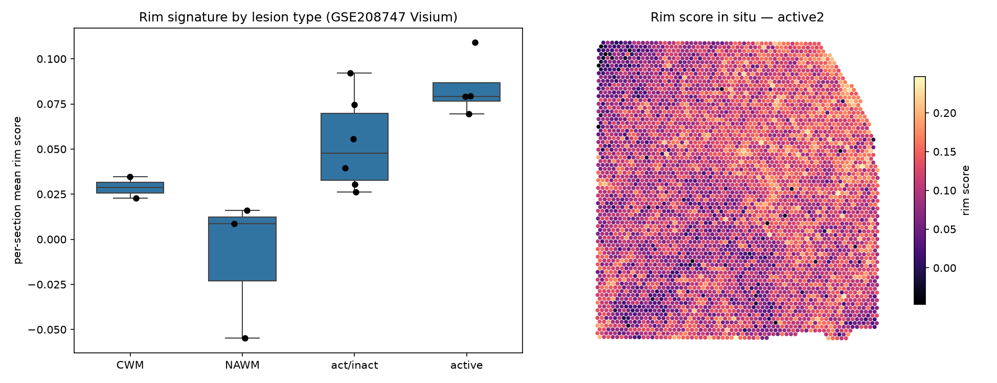 Visium spatial gradient of the rim signature
