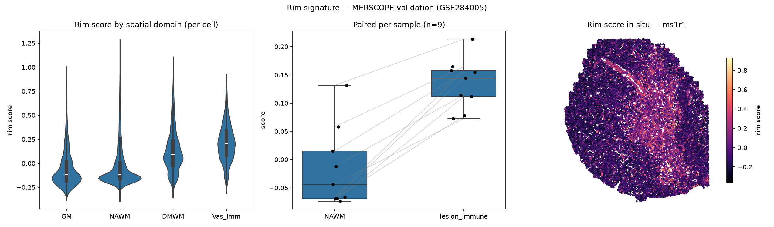 MERSCOPE single-cell spatial validation of the rim signature