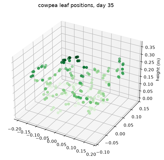 Three-dimensional scatter plot of 272 cowpea leaf attachment points at day 35, coloured by height, showing a dense central axis and sprawling lateral branches
